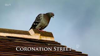 Coronation Street | 16 March 2026 | 20:30 | ITV 1 HD