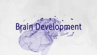 Growing Resiliency within a Trauma Informed Lens Part 1 of 2