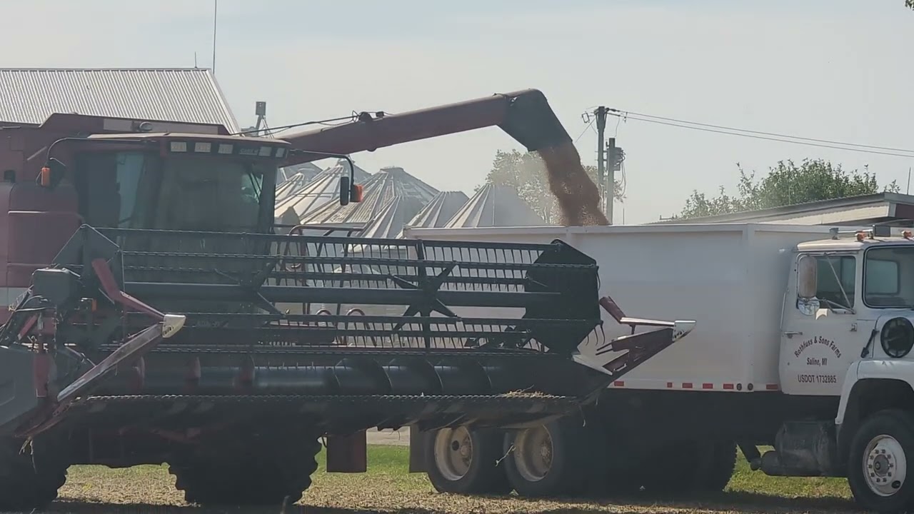 Engine Sounds Great - Rare CASE IH 2344 - 7130 Tractor - Unverferth 5000 - Beans - #harvestchaser