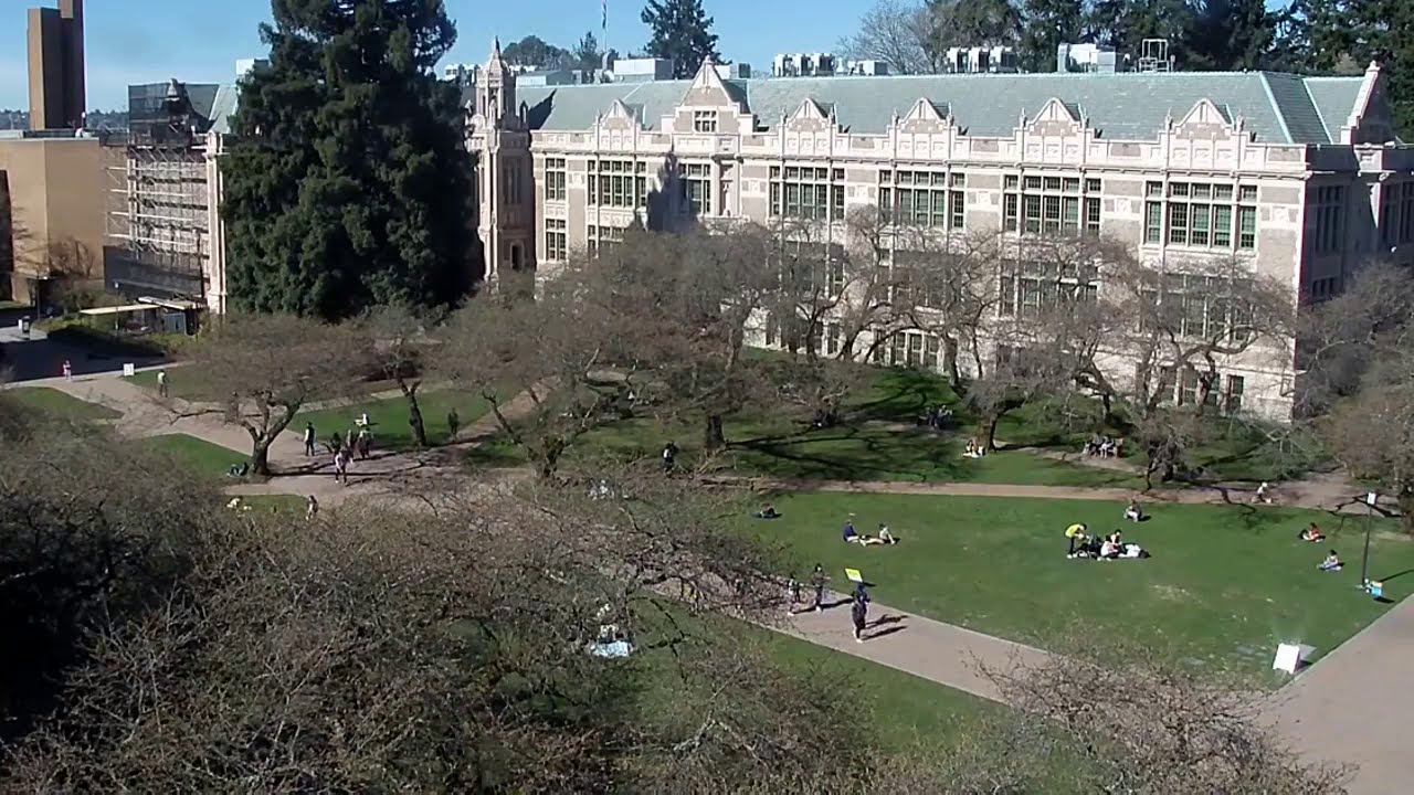 الامتحانات وتدجين الإنسان 📓 كيف نظر ميشيل فوكو إلى الامتحانات؟