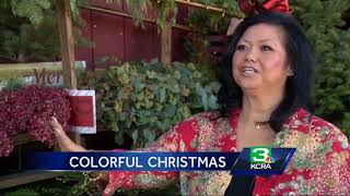 Looking for a colorful Christmas tree? This Modesto farm has them