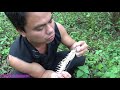 Primitive technology - Primitive skills catch big fish and cooking fish in bamboo - Eating delicious