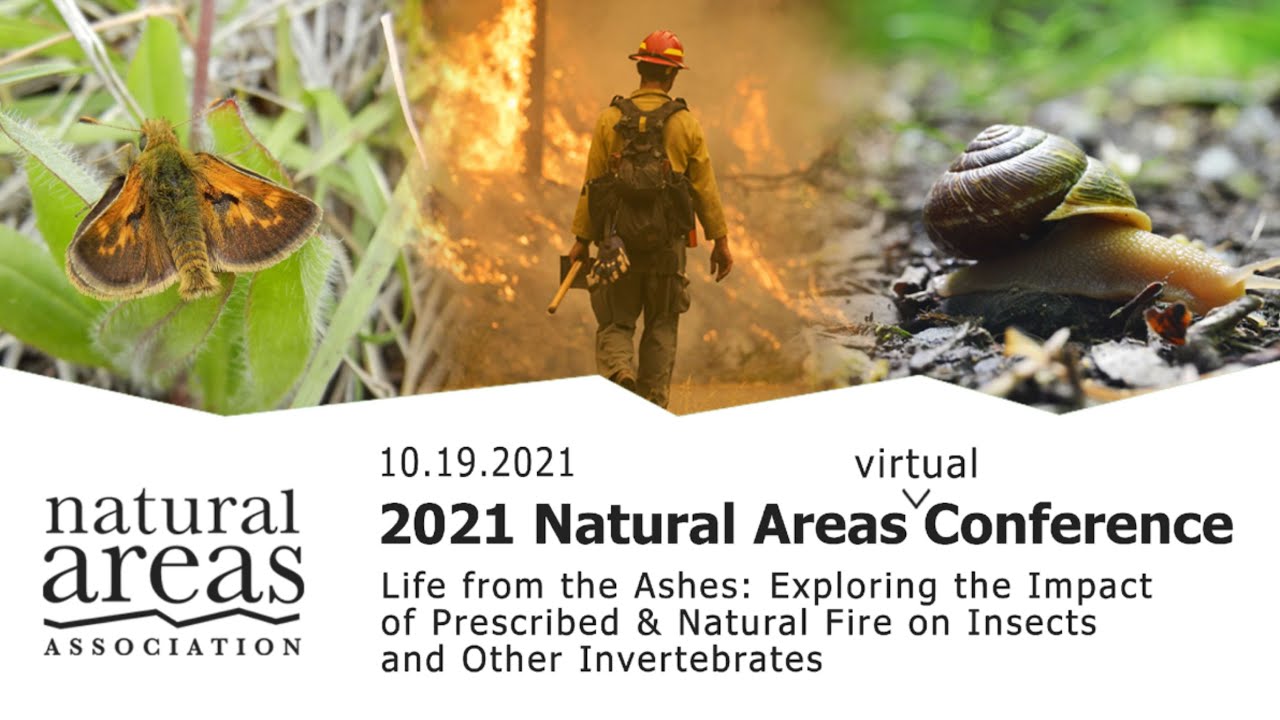 The Response of Bumble Bees and their Floral Food Sources to Wildfire in California