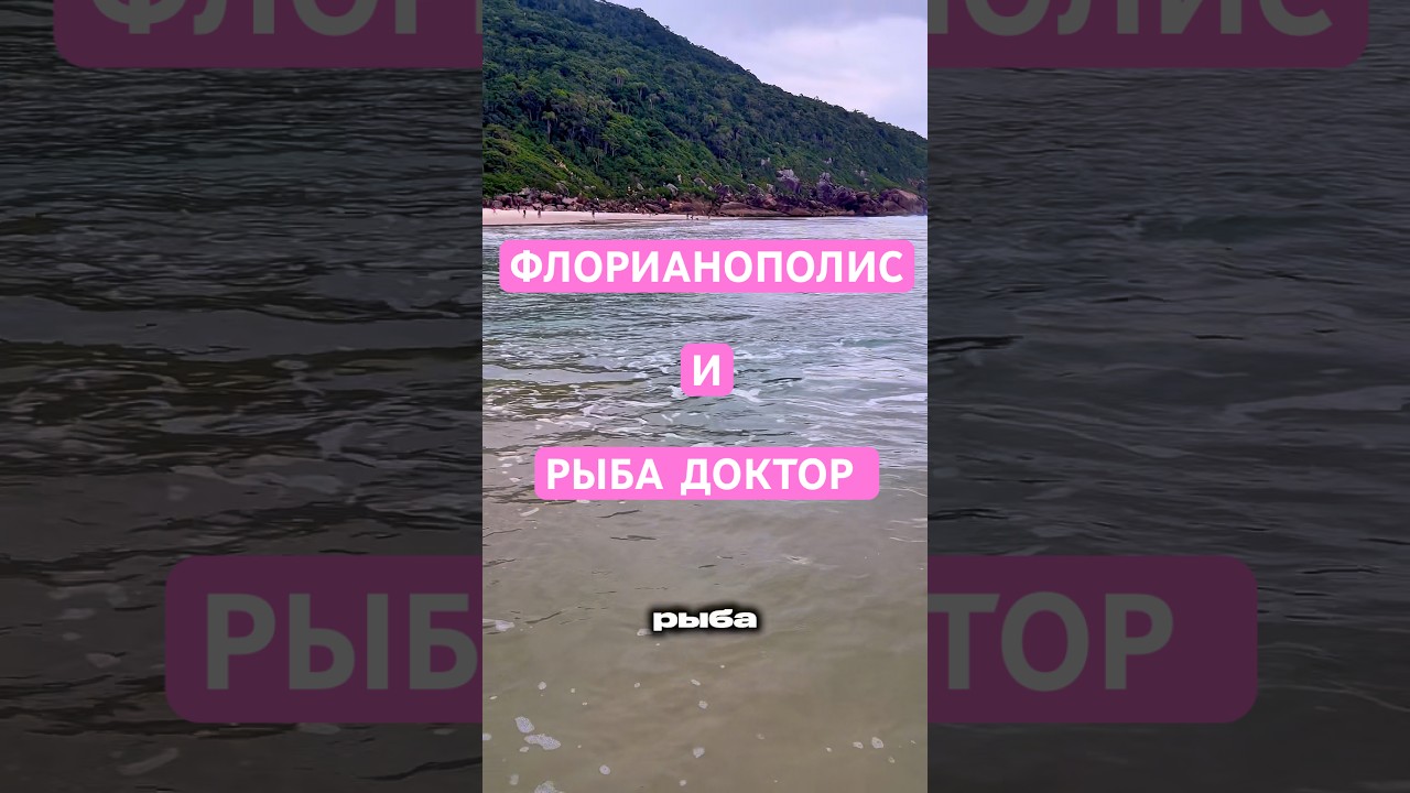 14 февраля 2026 г.