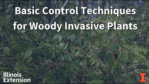 Basic Control Techniques for Woody Invasive Plants