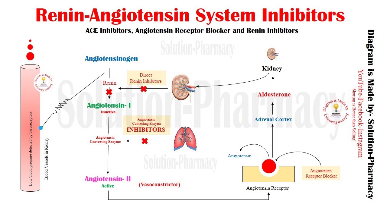 Renin Angiotensin Aldosteron System Inhibitors