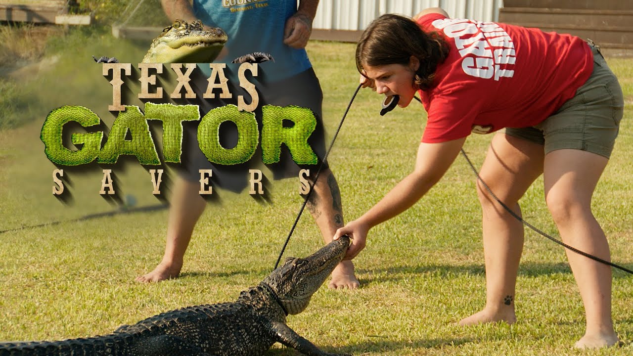 Quick Hands or No Hands | Texas Gator Savers | EarthX
