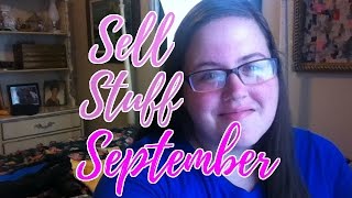 The Sell Stuff September Challenge Week 1 -$14,580