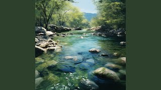 Gentle Streams for Pet Relaxation