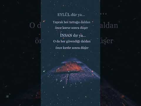 #İnsandır ya oda her güvendiği daldan önce kırılır sonra ayrılır 🤍