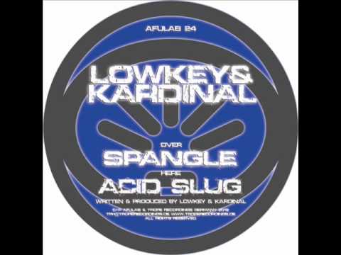 LowKey & Kardinal - Acid slug - Afulab 24 .wmv