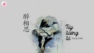 Download lagu [Vietsub pinyin] Túy Tương Tư - Thang Thiến (醉相思 - 汤茜) | HoaAnhDao