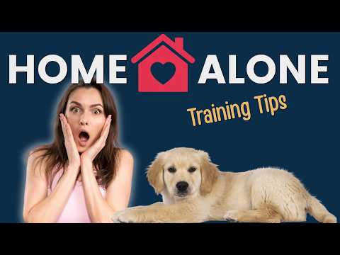 Leaving Puppy Home Alone - Mistakes to Avoid