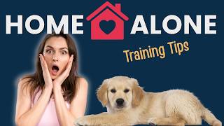 Celebrity Leaving Puppy Home Alone - Mistakes to Avoid Net Worth