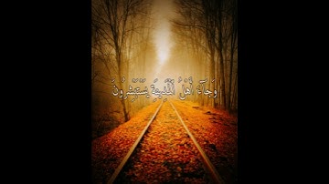 تلاوة تغفل همومك 🧡🌿 بصوت القارئ هزاع البلوشي _ من سورة الحجر 💙#هزاع_البلوشي _#راحة_نفسية _#ارح_قلبك