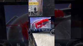 Diamond 2k android system for base model car 🔥🔥🔥