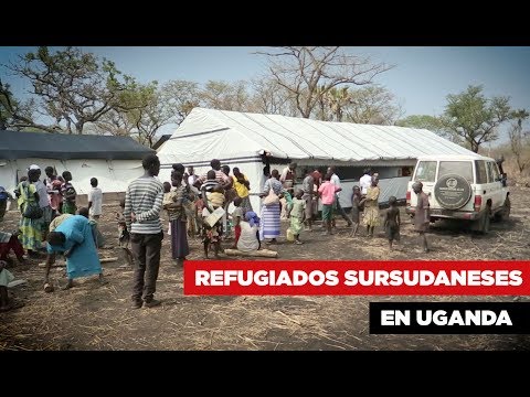 Vídeo: Incluindo Refugiados Na Eliminação De Doenças: Desafios Observados Em Um Programa De Doença Do Sono Em Uganda