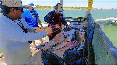 HOW TO CATCH AND CLEAN FLOUNDER