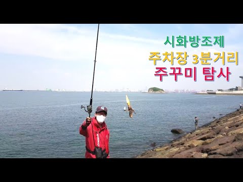 9월13일 <strong>시화방조제</strong> 쭈꾸미 <strong>루어낚시</strong>