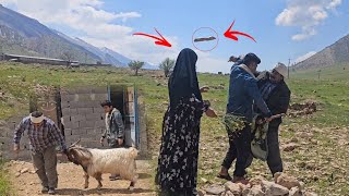 Clash at Anwar: Eviction and Solidarity in Nomadic Life🌾🐐