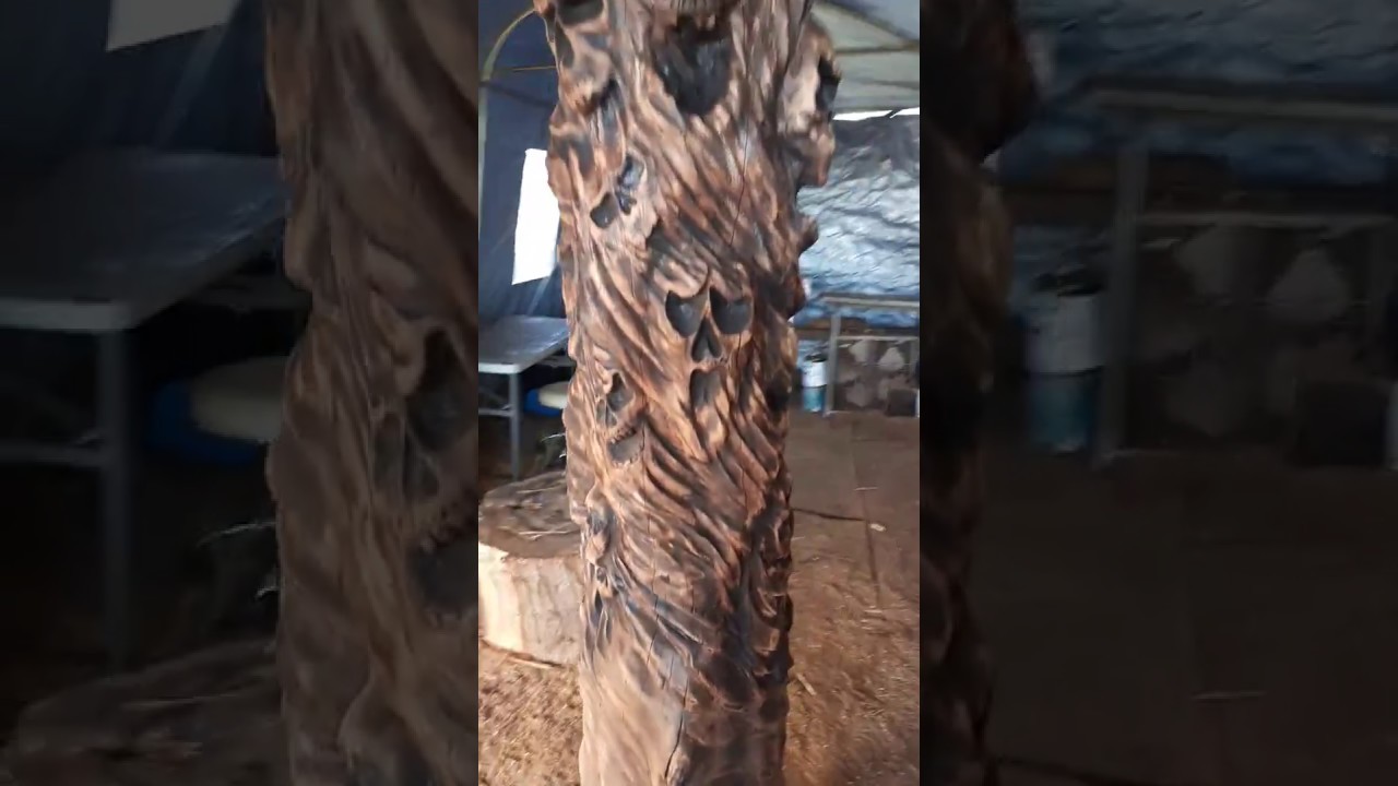 Chainsaw carving, carving skulls, old cedar, carving, using kutzall  1/4 extreme bits in a die grndr