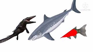 Cretoxyrhina Vs Hyneria Vs Tylosaurus Vs Basilosaurus