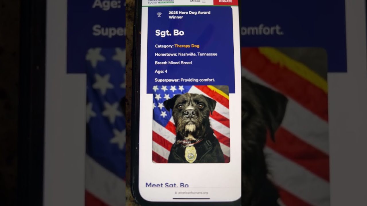 TRUMP AND HIS FURRIES| DOG HEROS AND MASK| ERIC ADAMS AND HIS COINS