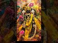 jay Dwarkadhis