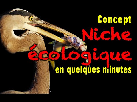 102-Niche écologique