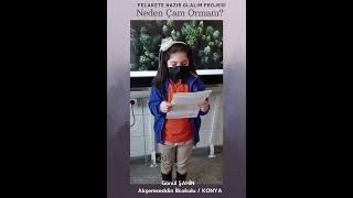 Neden Çam Ormanı Gülsüm