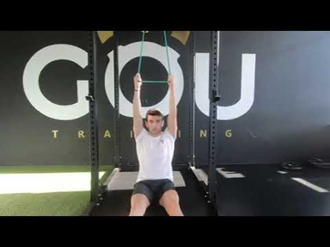 Vertical Seated Pull Band
