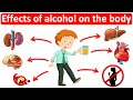 What are the effects of alcohol on the body   easy science lesson