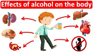 What are the effects of alcohol on the body? 🍺 | Easy Science lesson