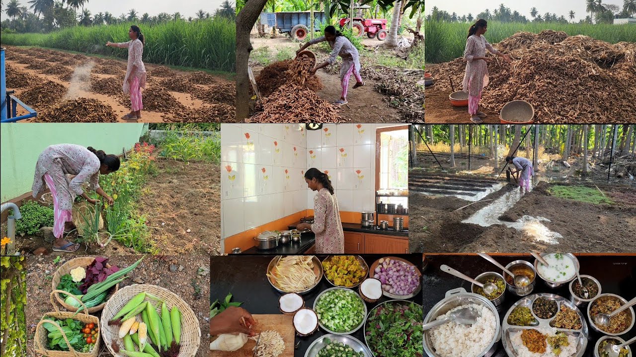 One day in my villagelife/Vegetables harvesting/cooking lunch menu with fresh vegetables