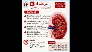 Understanding Chronic Kidney Disease: Causes, Symptoms & Management