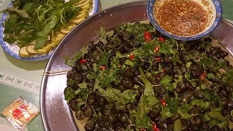 #41 #Ốc Đắng Xào Nước Cốt Dừa Ngon Tuyệt Vời Luôn Mọi Người Ơi