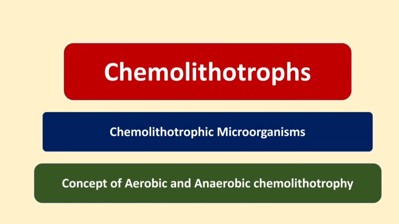 Chemolithotrophs | Chemolithotrophic Microorganisms | Aerobic  | Anaerobic | Chemolithoautotrophy