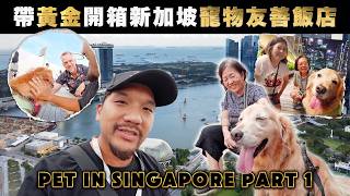 帶寵物第一次來新加坡✈️第一天就住進夢幻飯店🐶【PET IN SINGAPORE PART 1 】