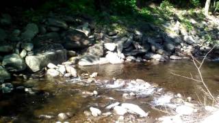 WALKER ISLAND FAMILY CAMPING,27 ROUTE 20 CHESTER MA.