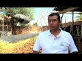 Biodigestores- Sistema Biobolsa en Morelos