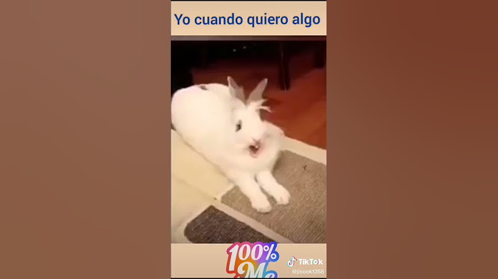mi conejo diciendo mamá 😅