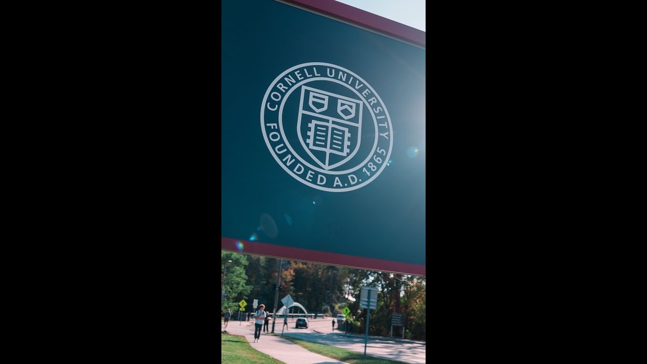 Jane Doe wrote letter to Cornell faculty senate