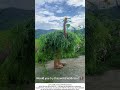 Man Wrapped in Grass Walks Like an Ostrich – Why Not? 🌿🦶