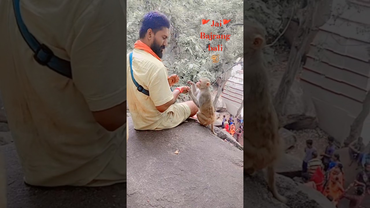 🙏🏻Jai bajrangbali 🐒🫂