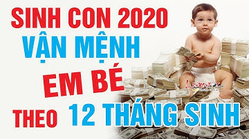 Sinh em bé năm Canh tý 2020 - Mệnh đứng đầu lục thập hoa giáp