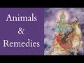 Remedies via Animals in Jyotish (Part-1)