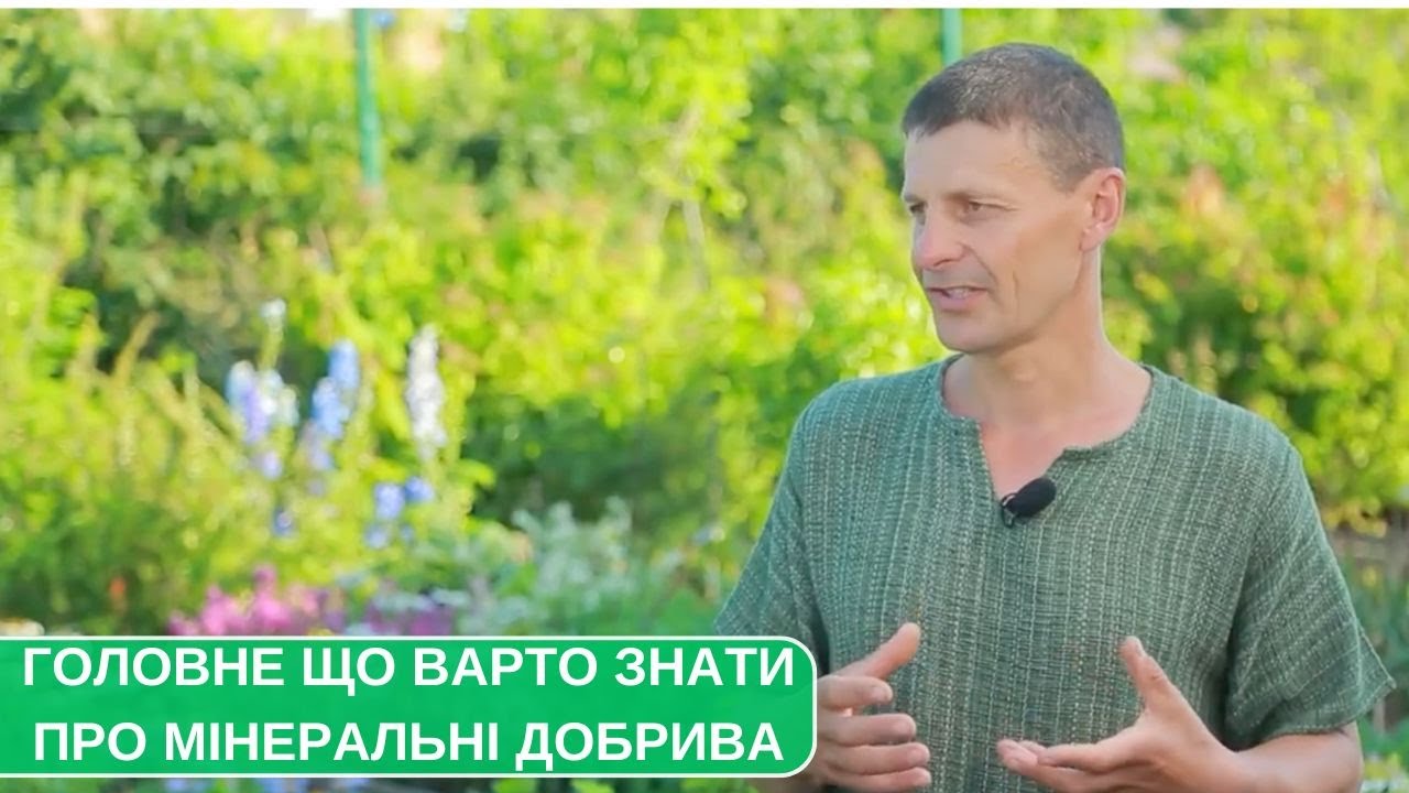 Як підживлювати мінеральними добрива щоб рослина їх дійсно засвоїла? Які основні види добрив?