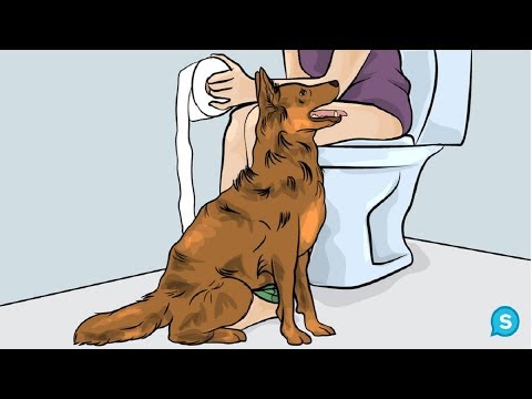 this-is-why-dogs-follow-you-into-the-bathroom.-i-never-knew-this!