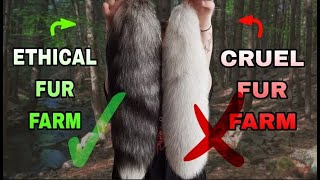 Watch Before You Buy A Tail How To Spot A Fox Tail From A Cruel Fur Farm Tips For Therians