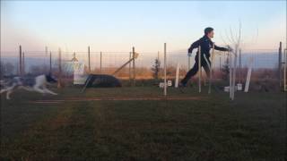 GAS - 8 months old - Running Contact class 2015 Silvia Trkman - 1 lesson